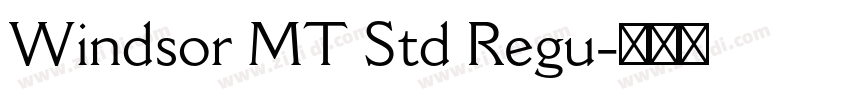 Windsor MT Std Regu字体转换